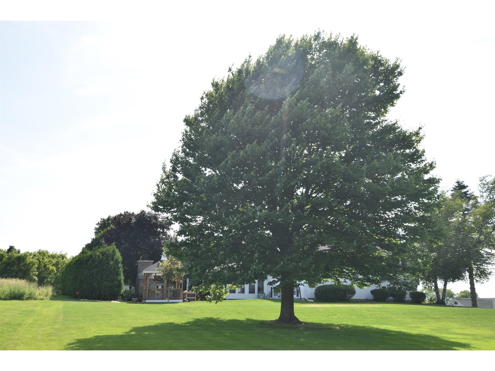 8 Green Meadow Acres