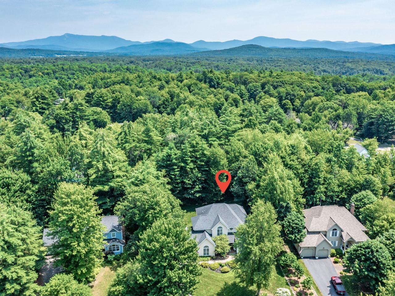 Wonderfully Treed Neighborhood