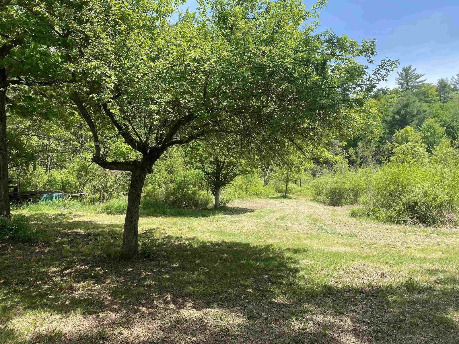 8 Norford Lake Road