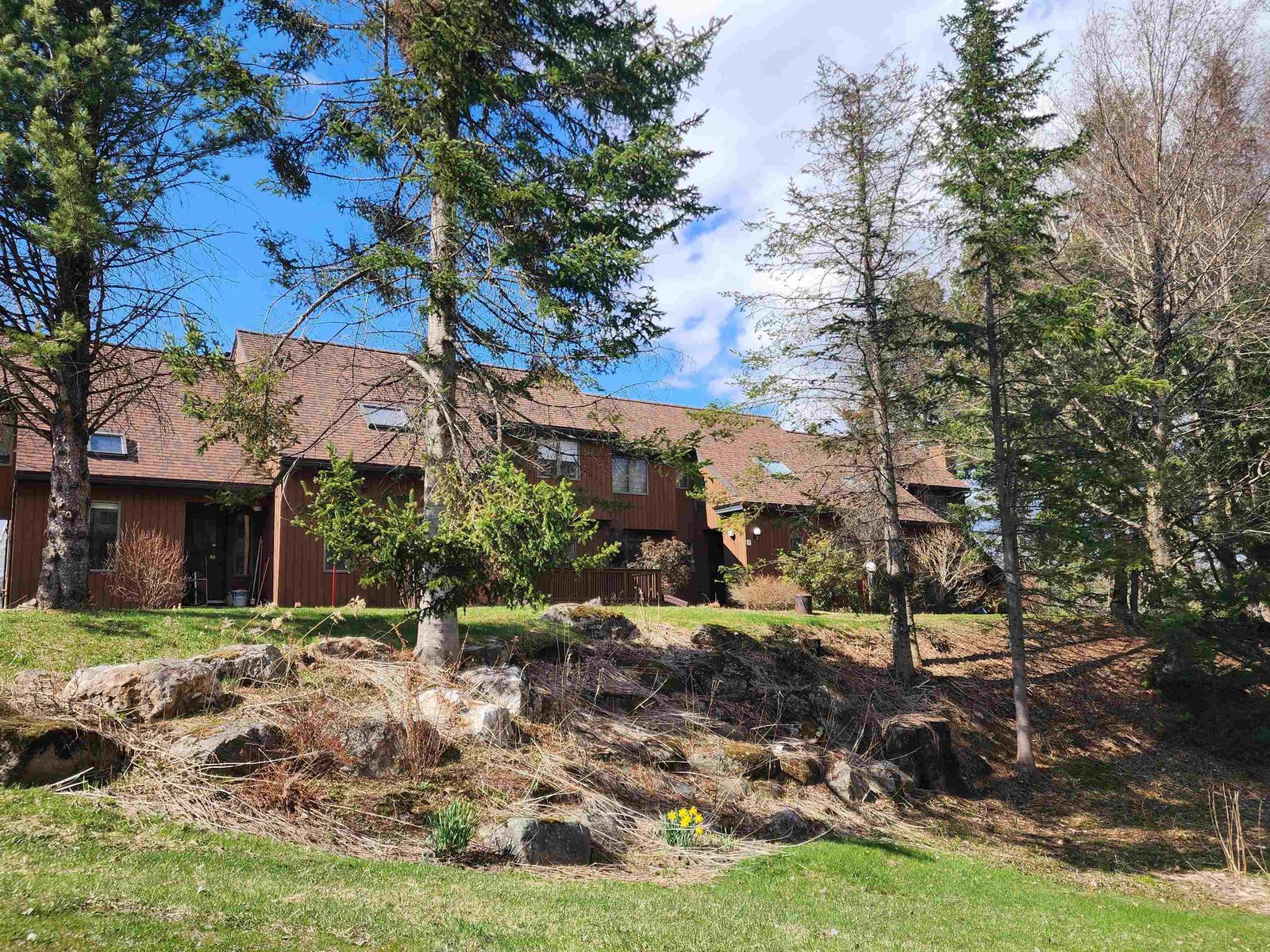8 Wildlife Road, Stowe