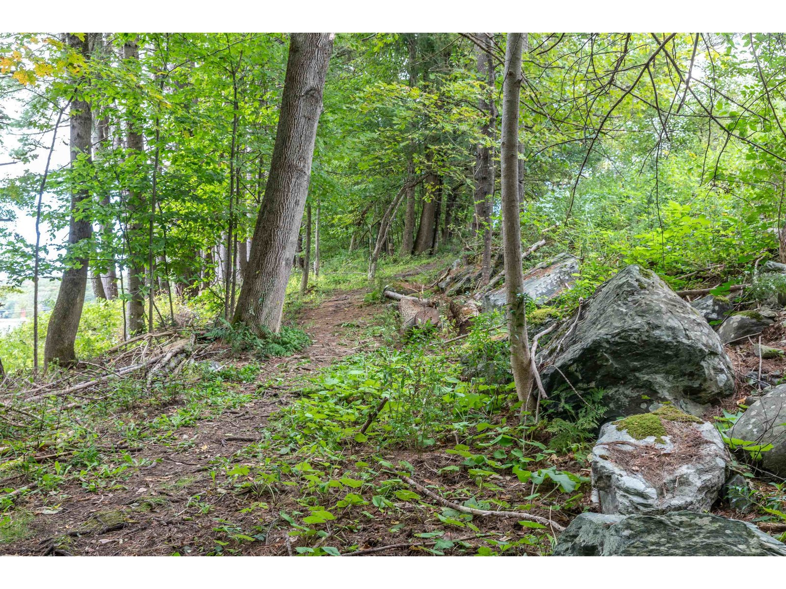 80 Ledgewood Terrace
