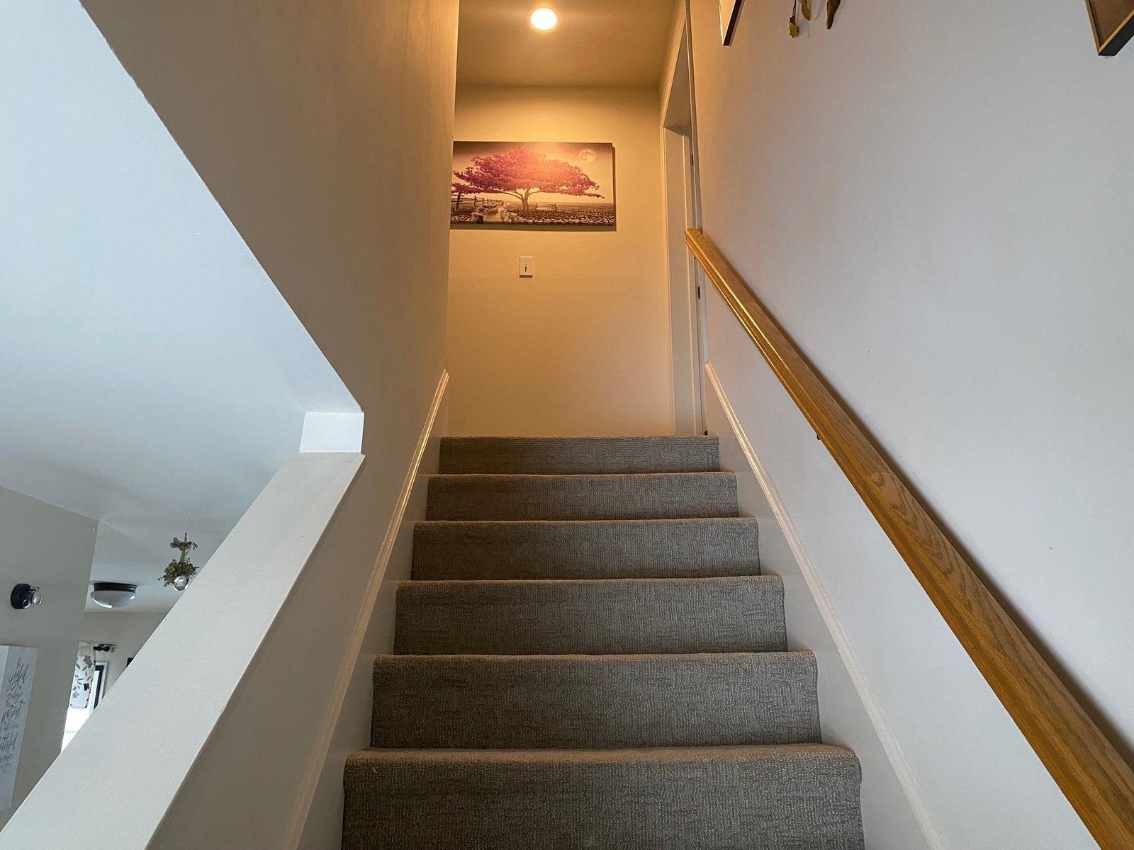 80 Patchen Road