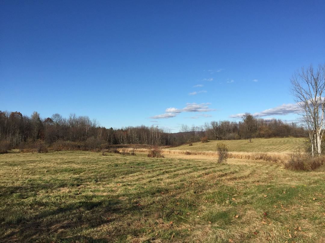 800 Duffy Hill Road