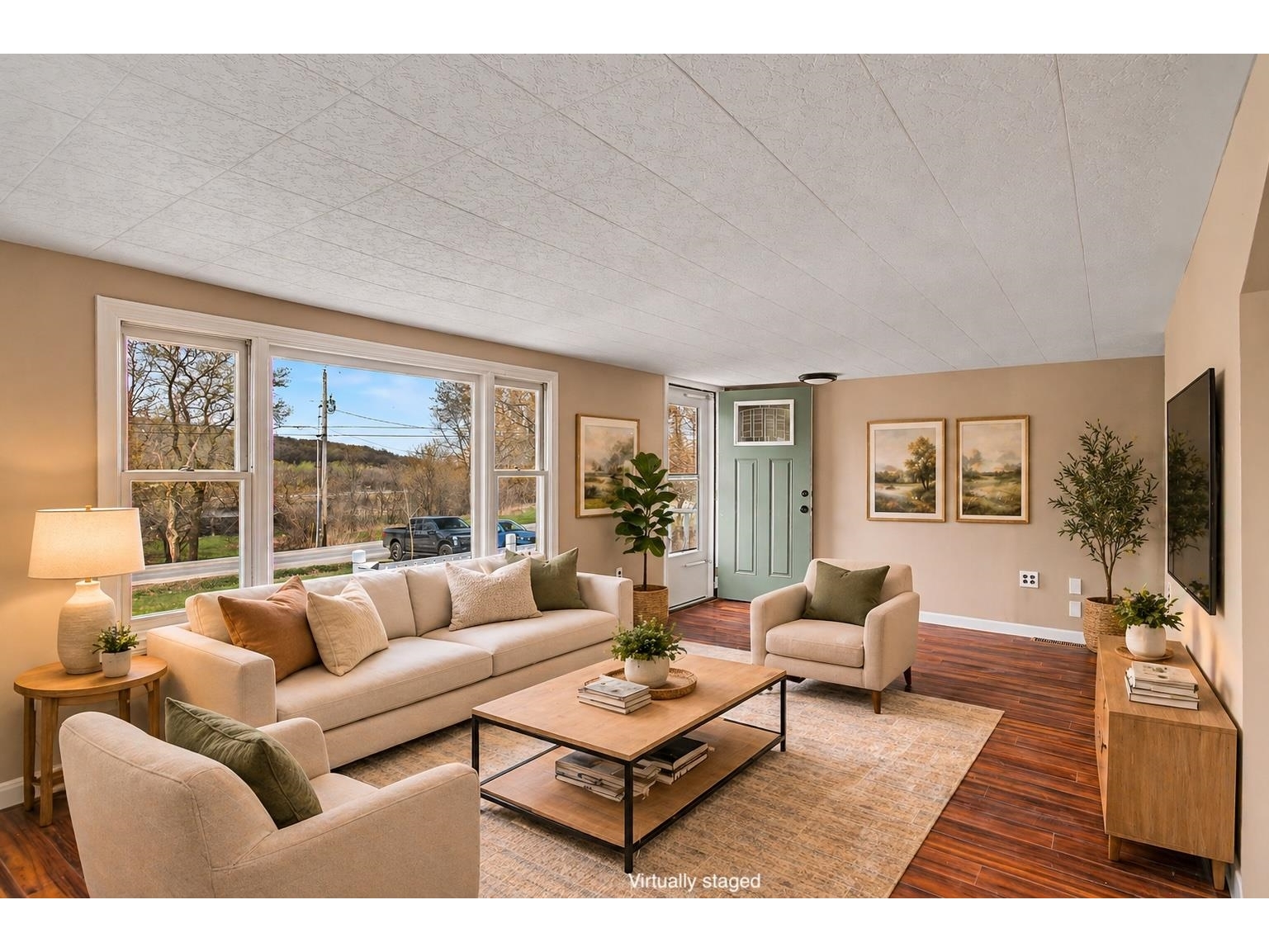 Living Room (Virtually Staged)