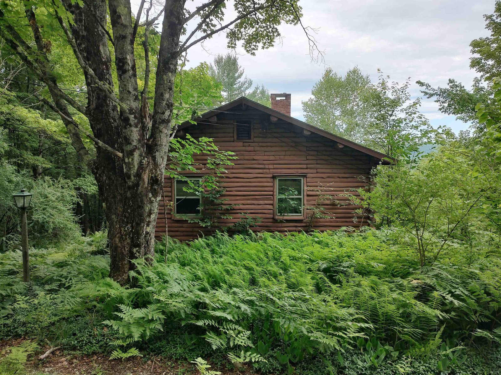 801 Harlow Hill
