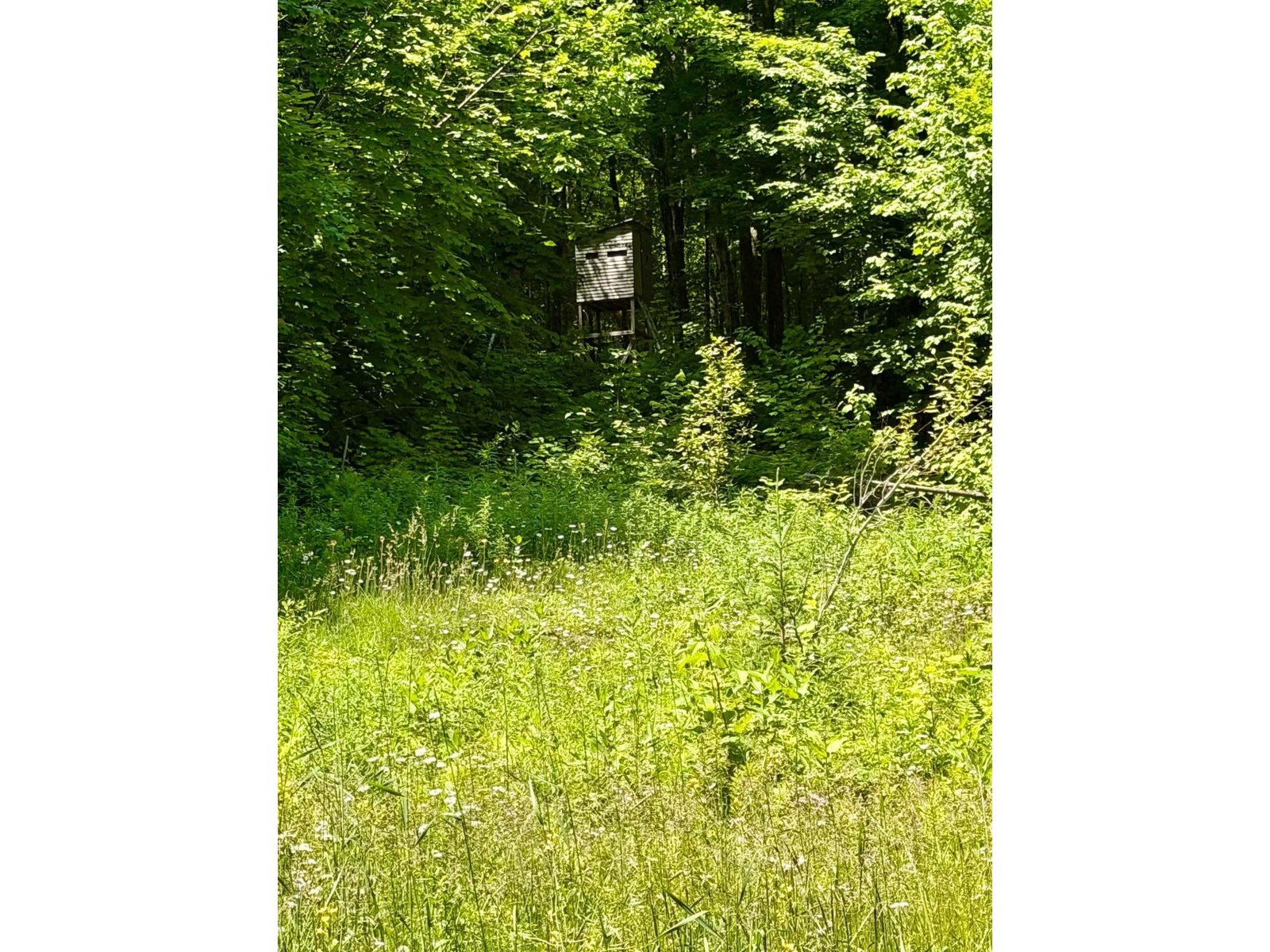 801 Red Schoolhouse Road