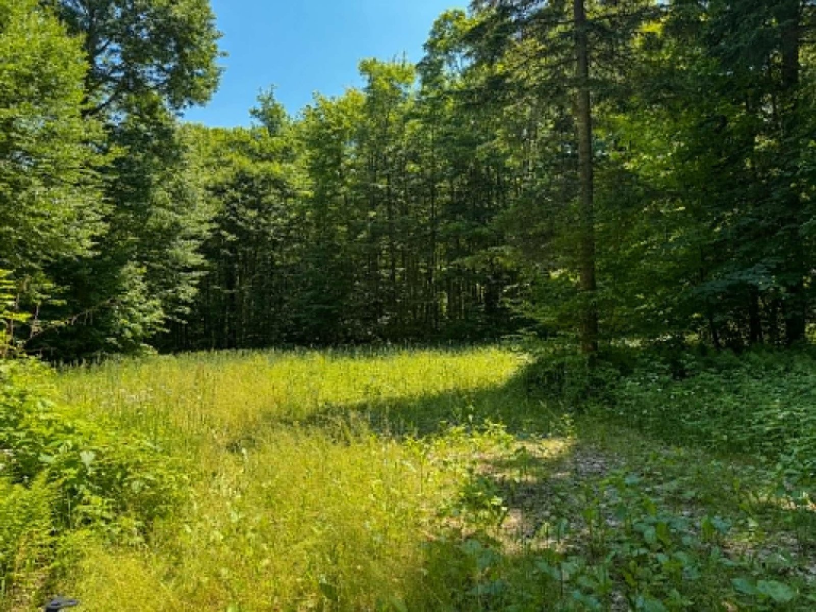 801 Red Schoolhouse Road