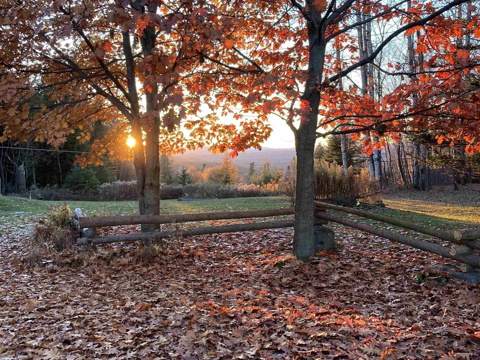 806 Maple Hill Road