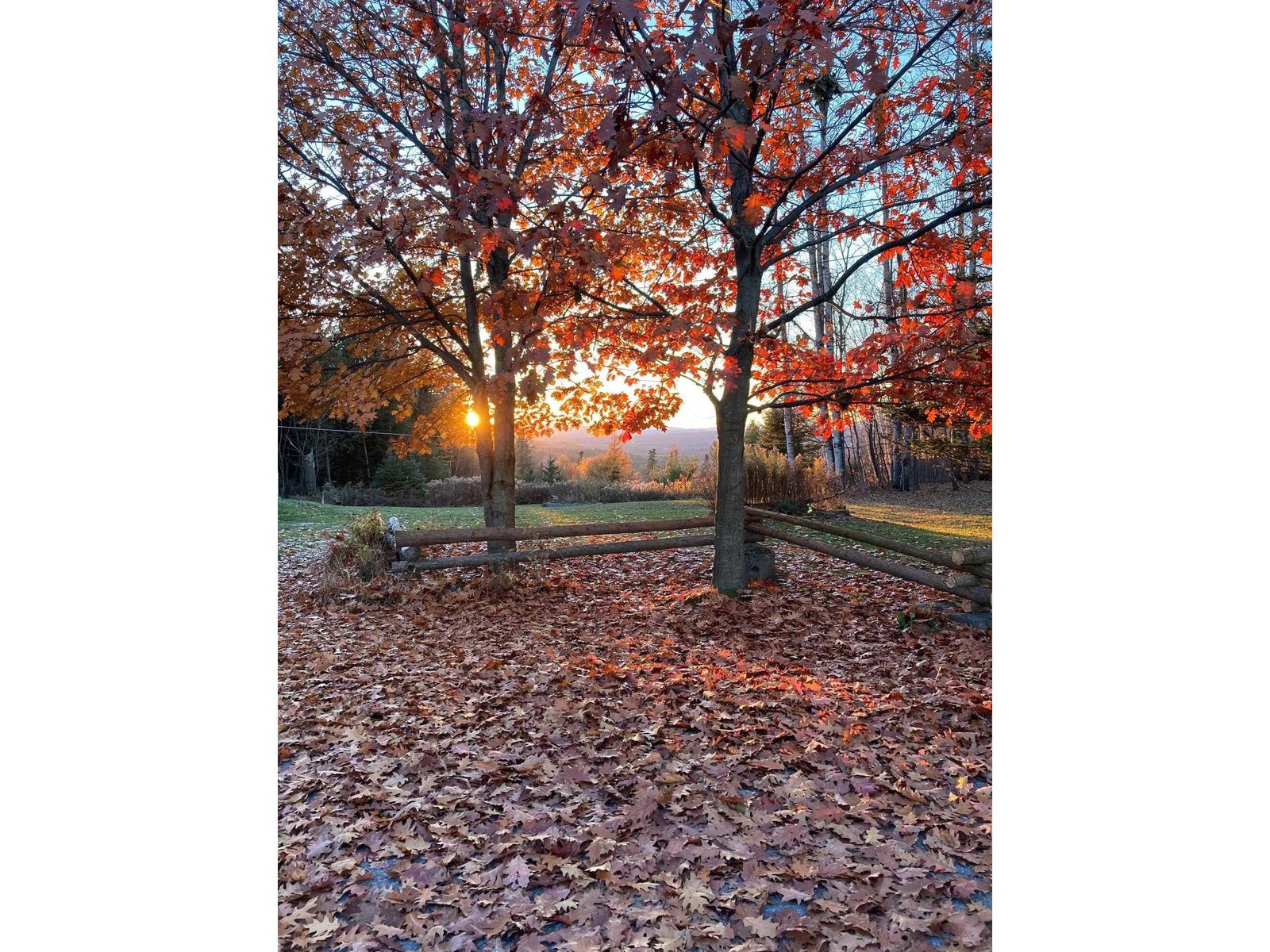 806 Maple Hill Road
