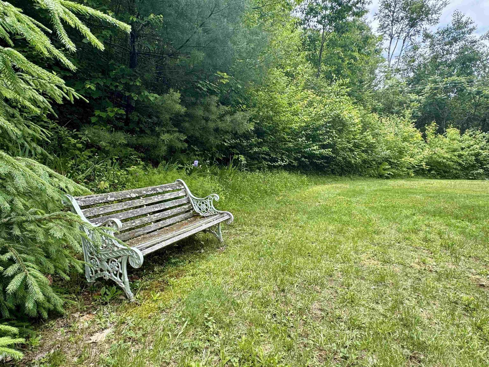 8062 Scotch Hollow Road