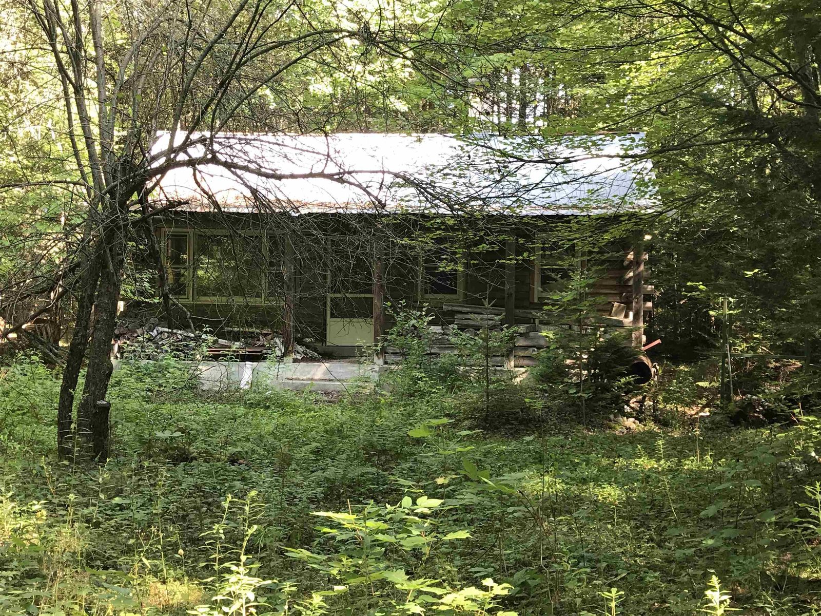 81 Chaney Drive