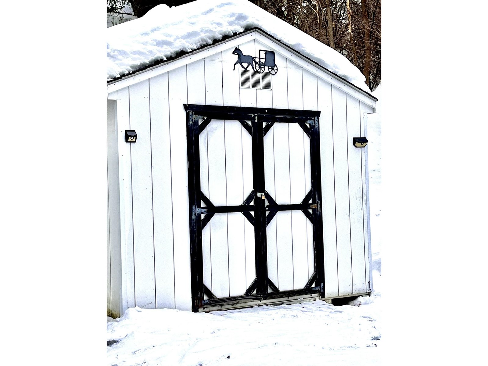 10*20 garden shed