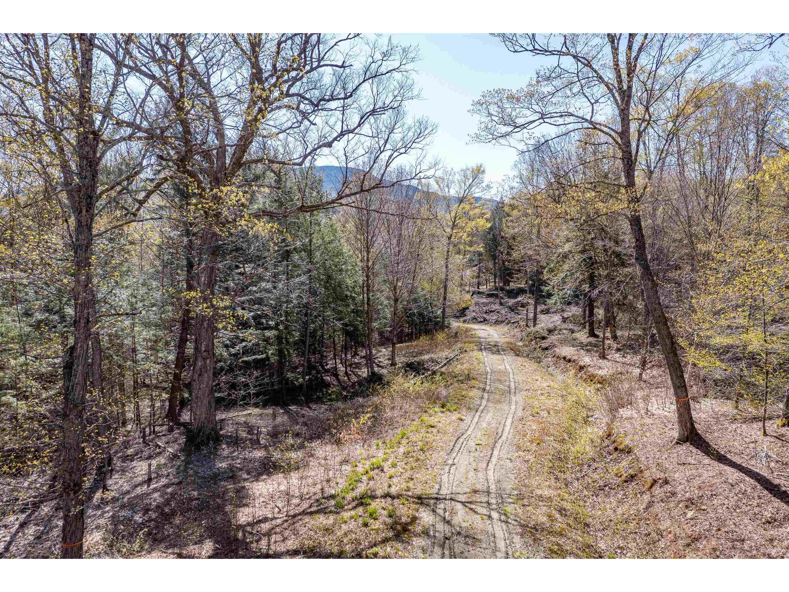 81 Hilltop Lane, Unit lot 5