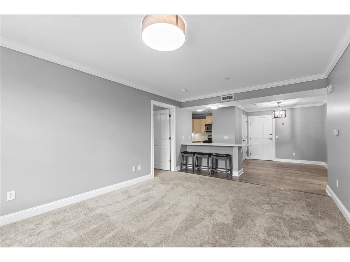 81 South Williams Street, Unit 203