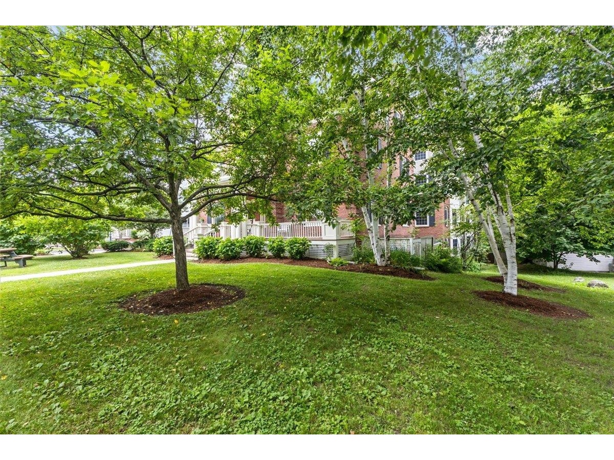 81 South Williams Street, Unit 203