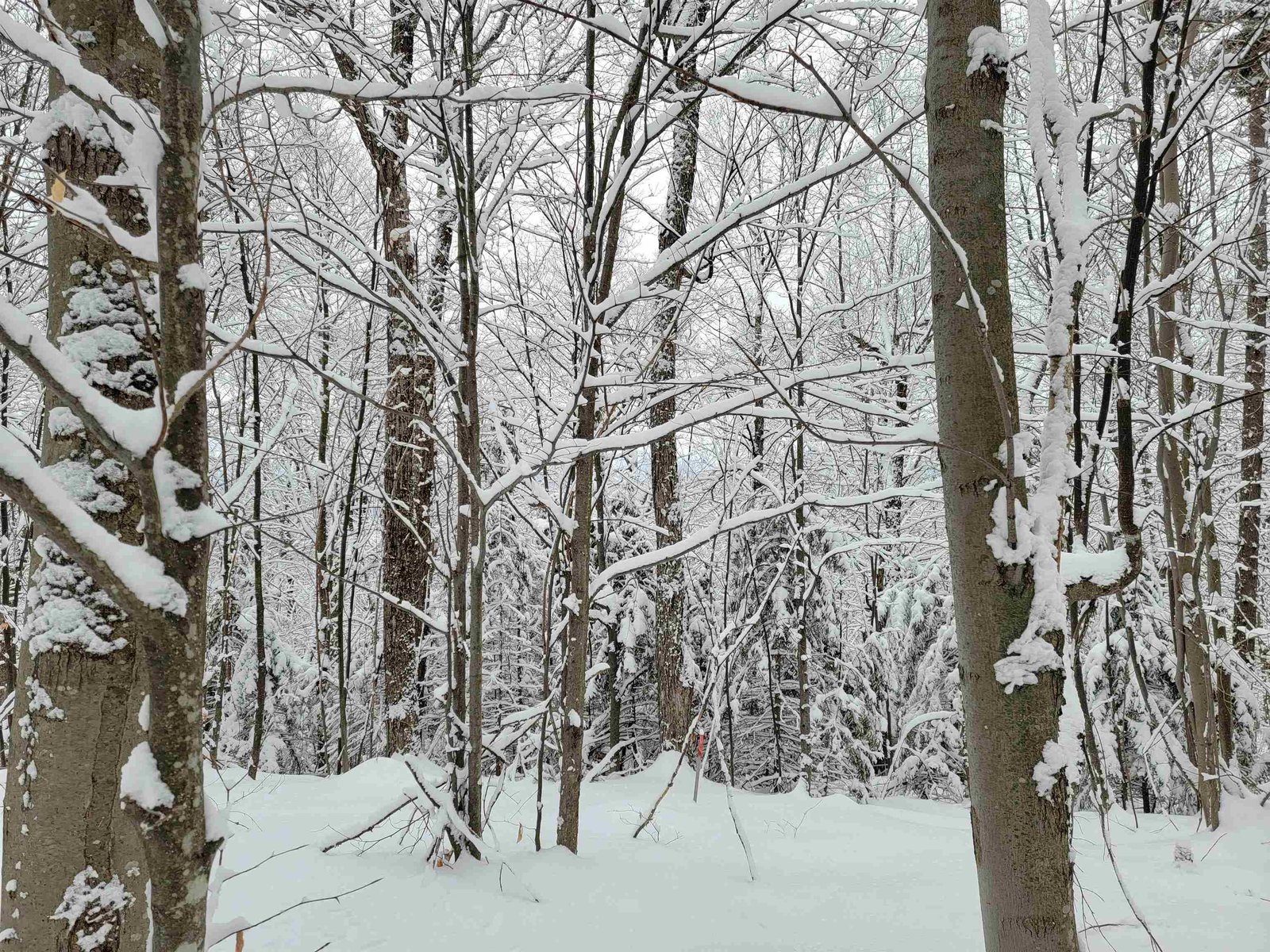 812 Cider Mountain Road, Warren