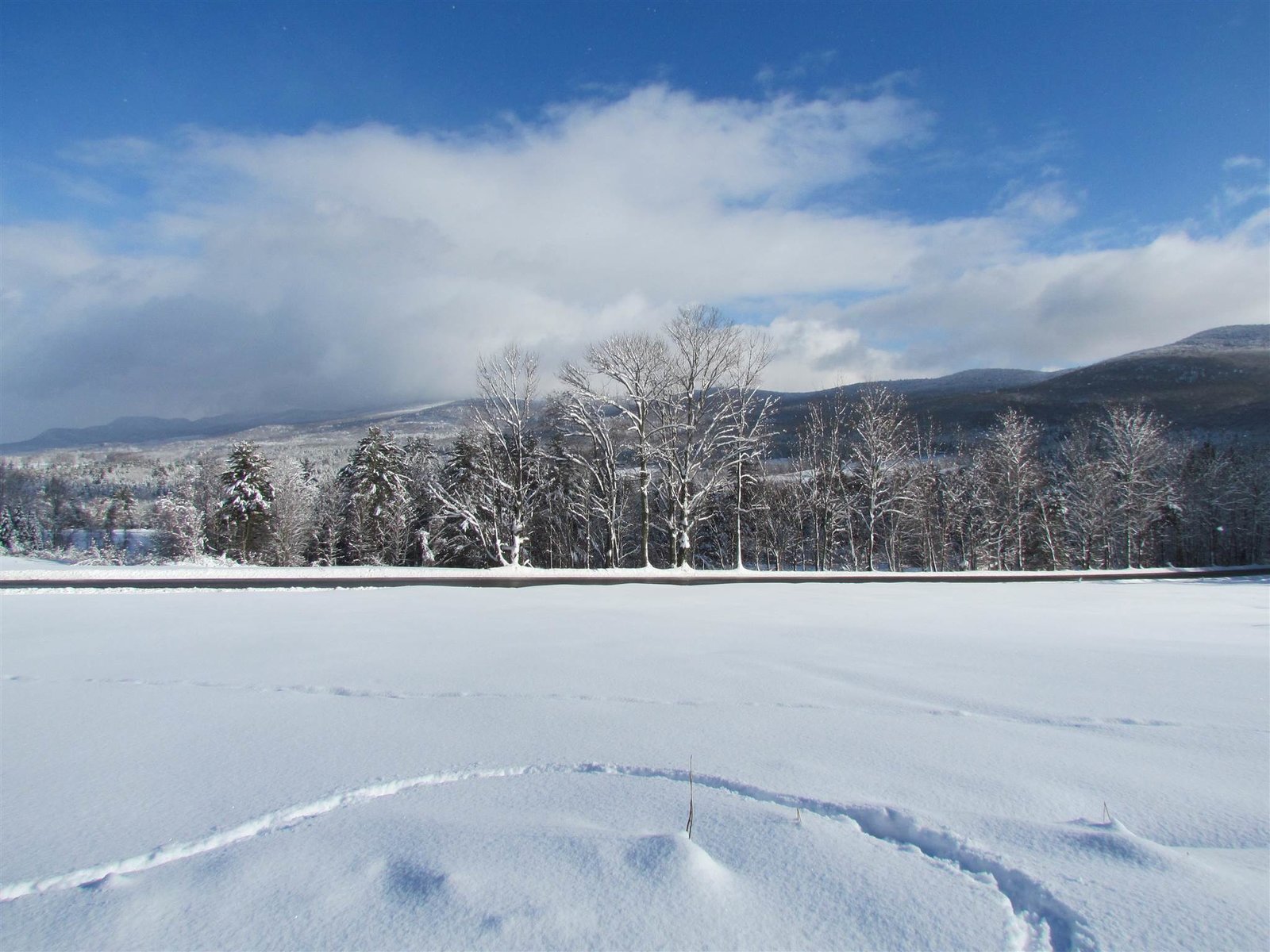 VIEW FROM POSSIBLE 5 ACRE DEVELOPMENT ZONE