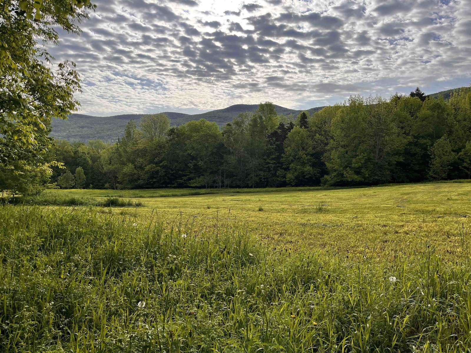 VIEW TOWARDS TOP OF ROXBURY GAP ROAD