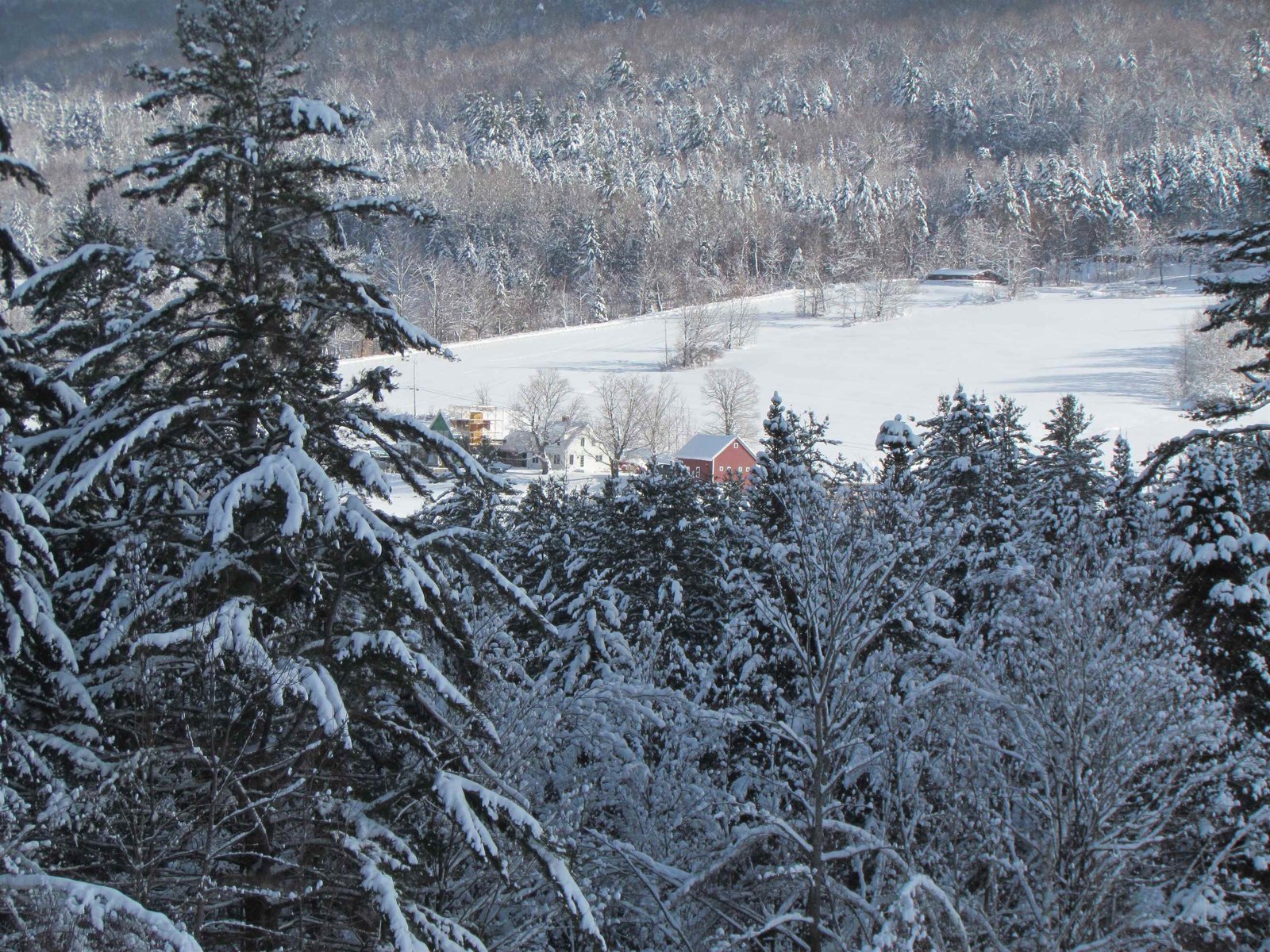 LARGE OPEN MEADOW IN EAST WARREN