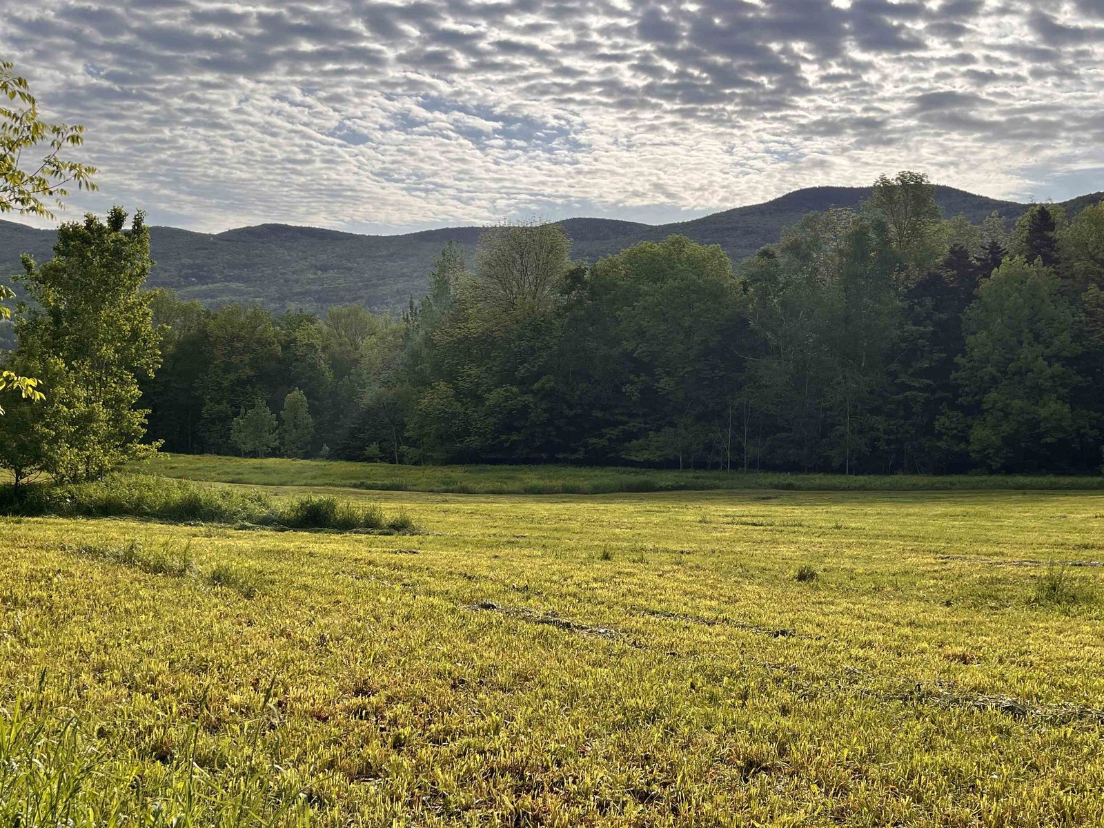 LARGE OPEN MEADOW IN EAST WARREN