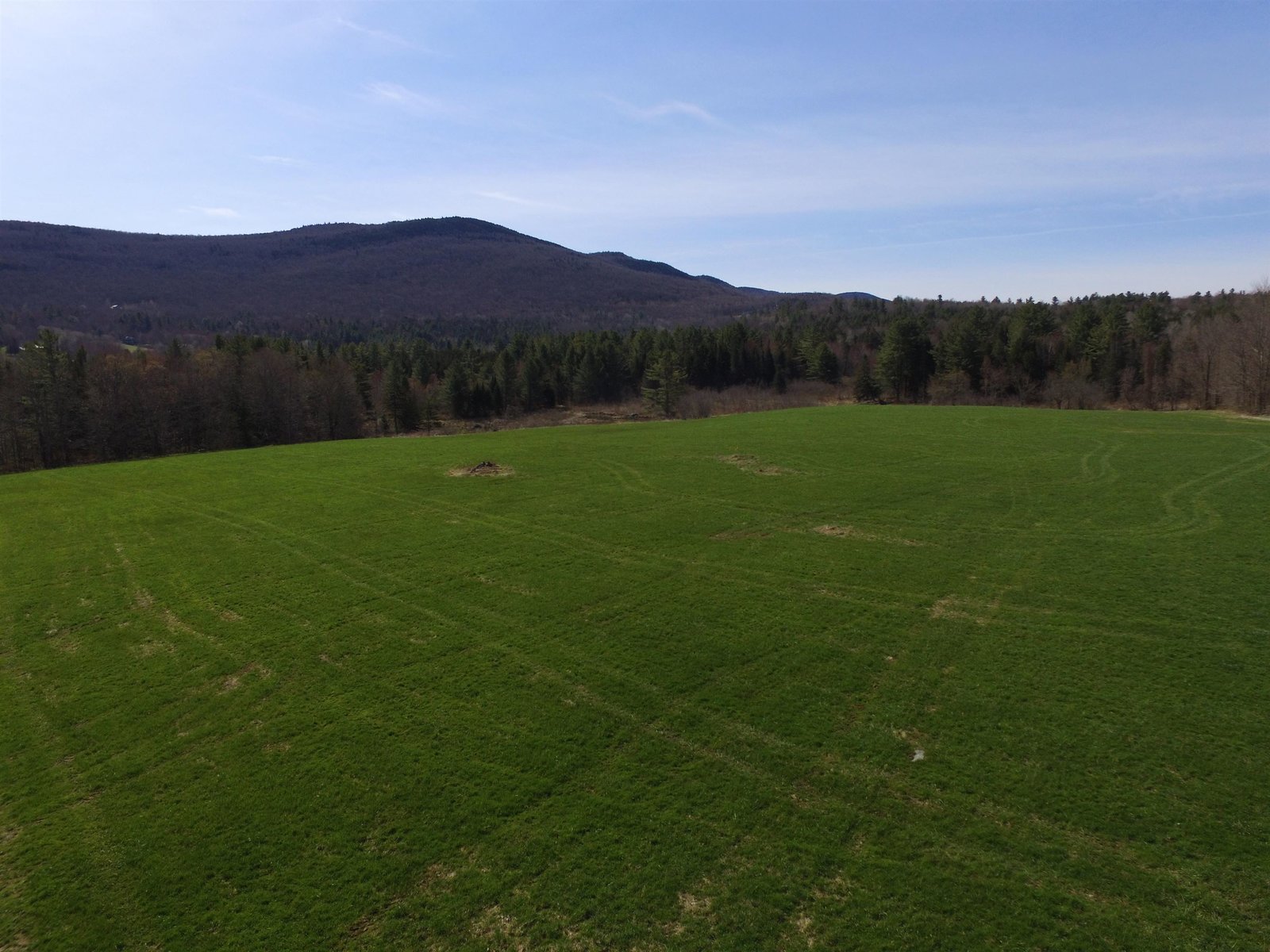 PROTECTED MEADOWLAND IN EAST WARREN