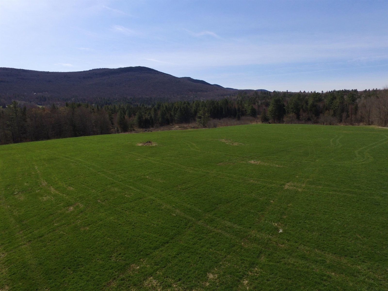 MAINTAINED FOREST WITH TRAILS & BEAVER PONDS