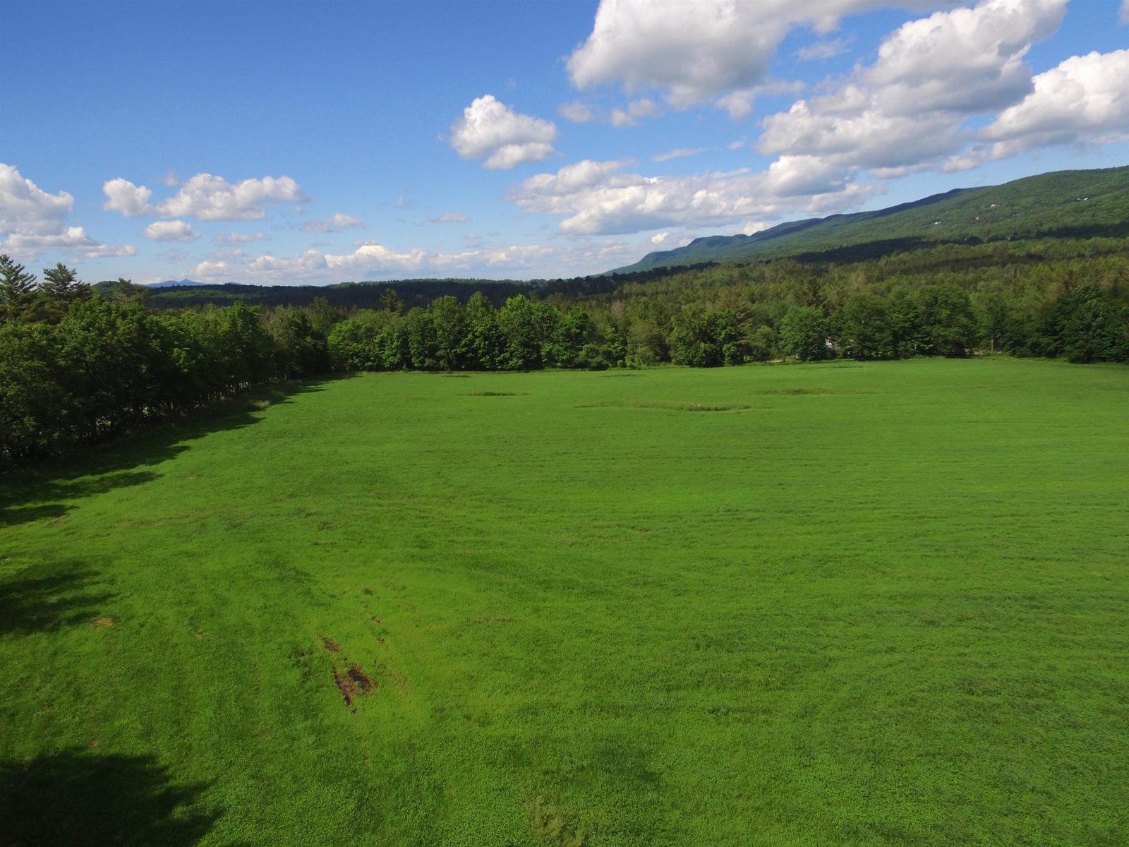 MAINTAINED FOREST WITH TRAILS & BEAVER PONDS