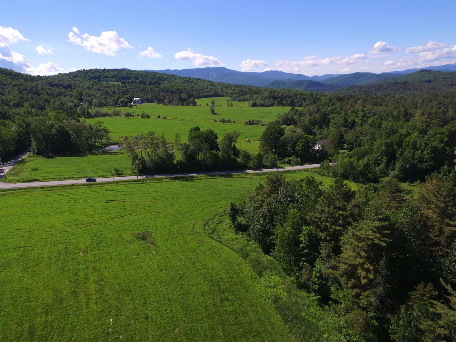 PROTECTED FOREST'S AND MEADOWS