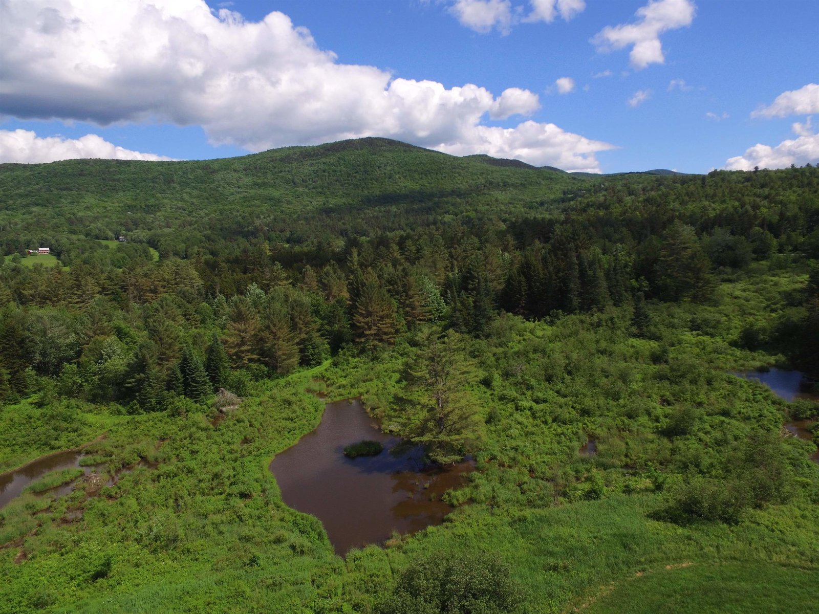 PROTECTED FOREST'S AND MEADOWS
