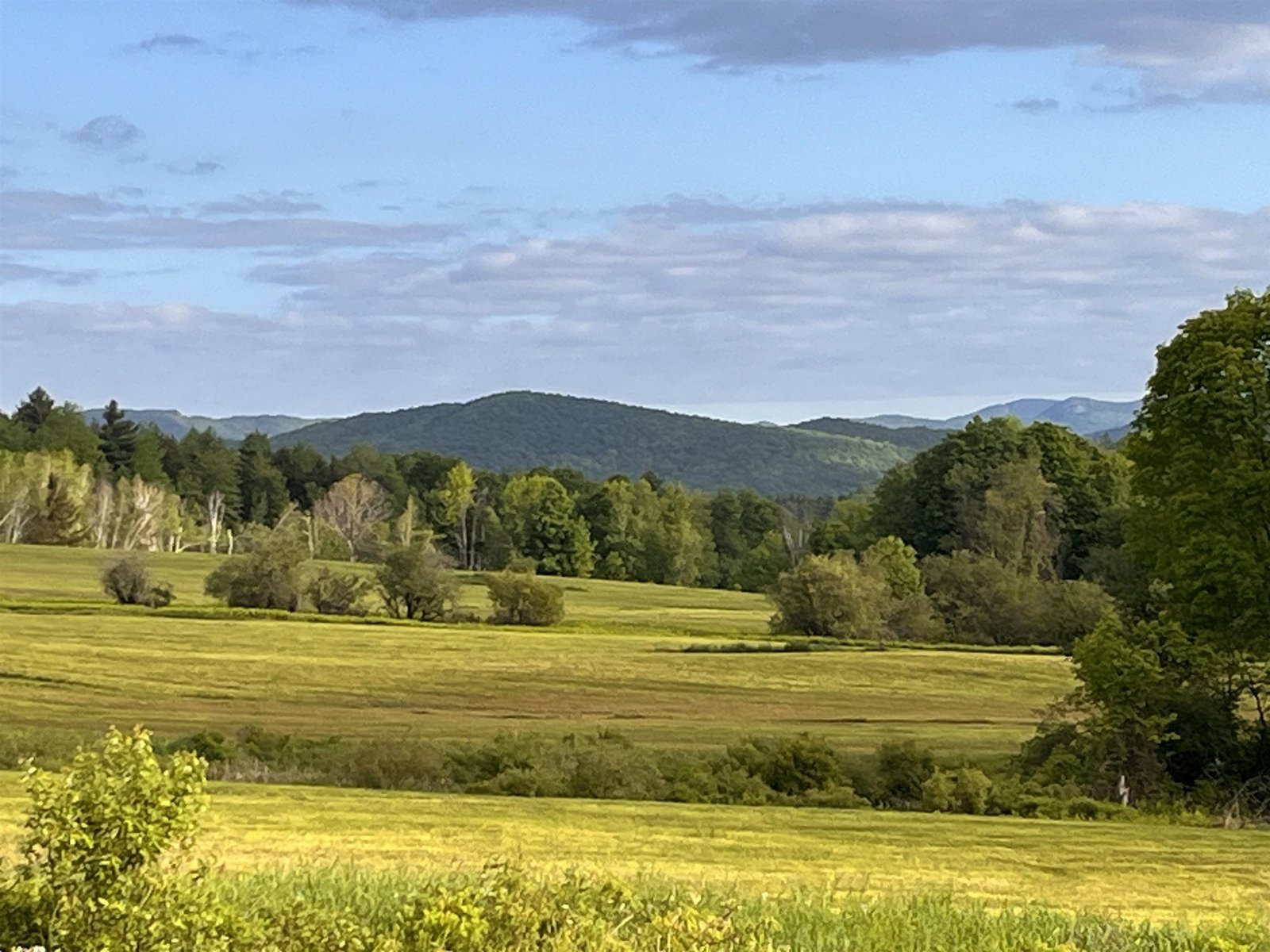 SOUTHEAST TOWARDS PRICKLEY MOUNTAIN