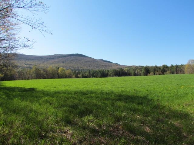 LOWER MEADOW LOOKING SOUTHEAST