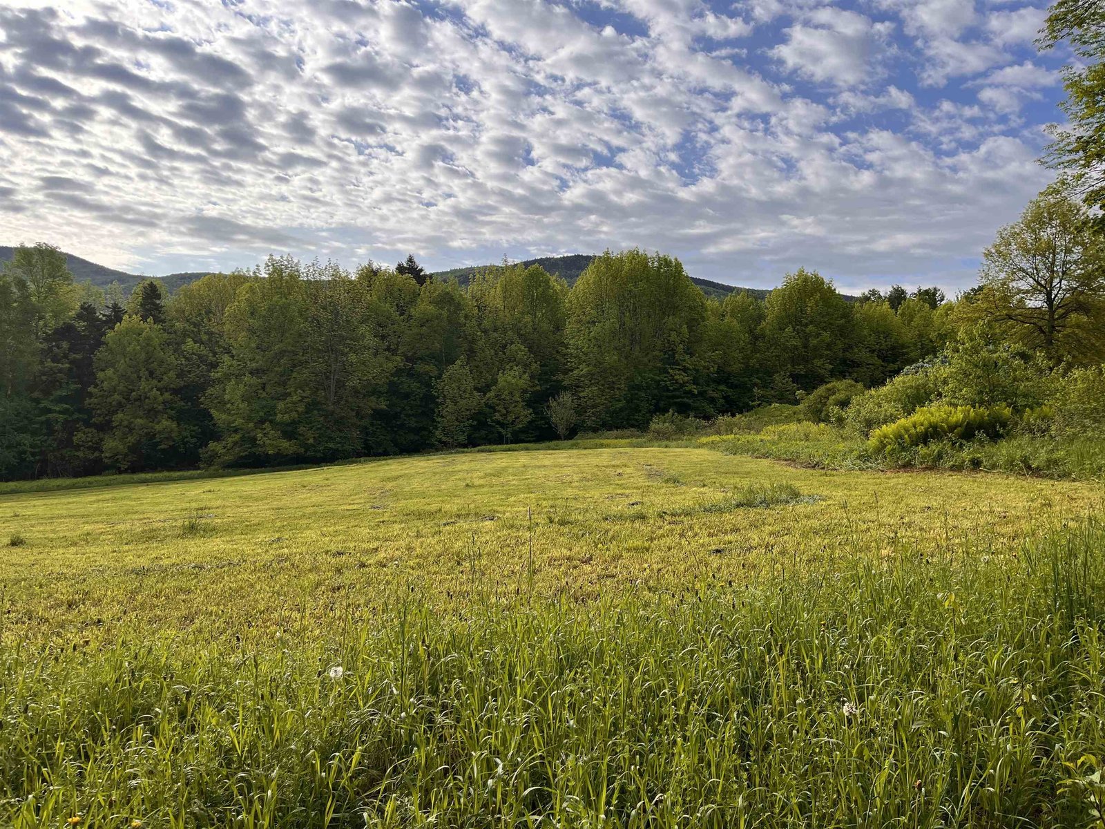 VIEW FROM POSSIBLE 5 ACRE DEVELOPMENT ZONE