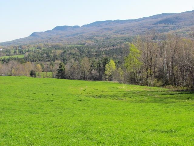 VIEW NEAR HOUSE SITE LOCATION
