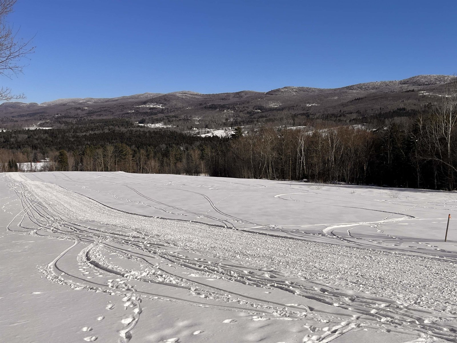 LOWEST MEADOW LOOKING TOWARDS SENOR ROAD