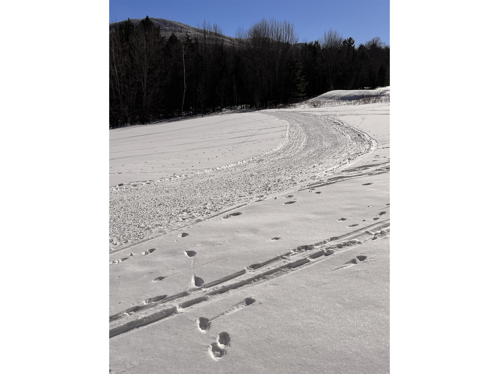 SKI TRAILS THROUGH THE MEADOWS