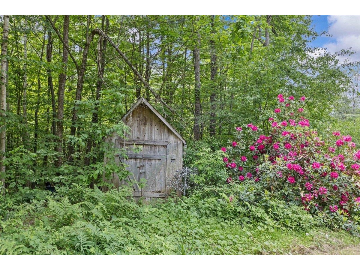 Shed