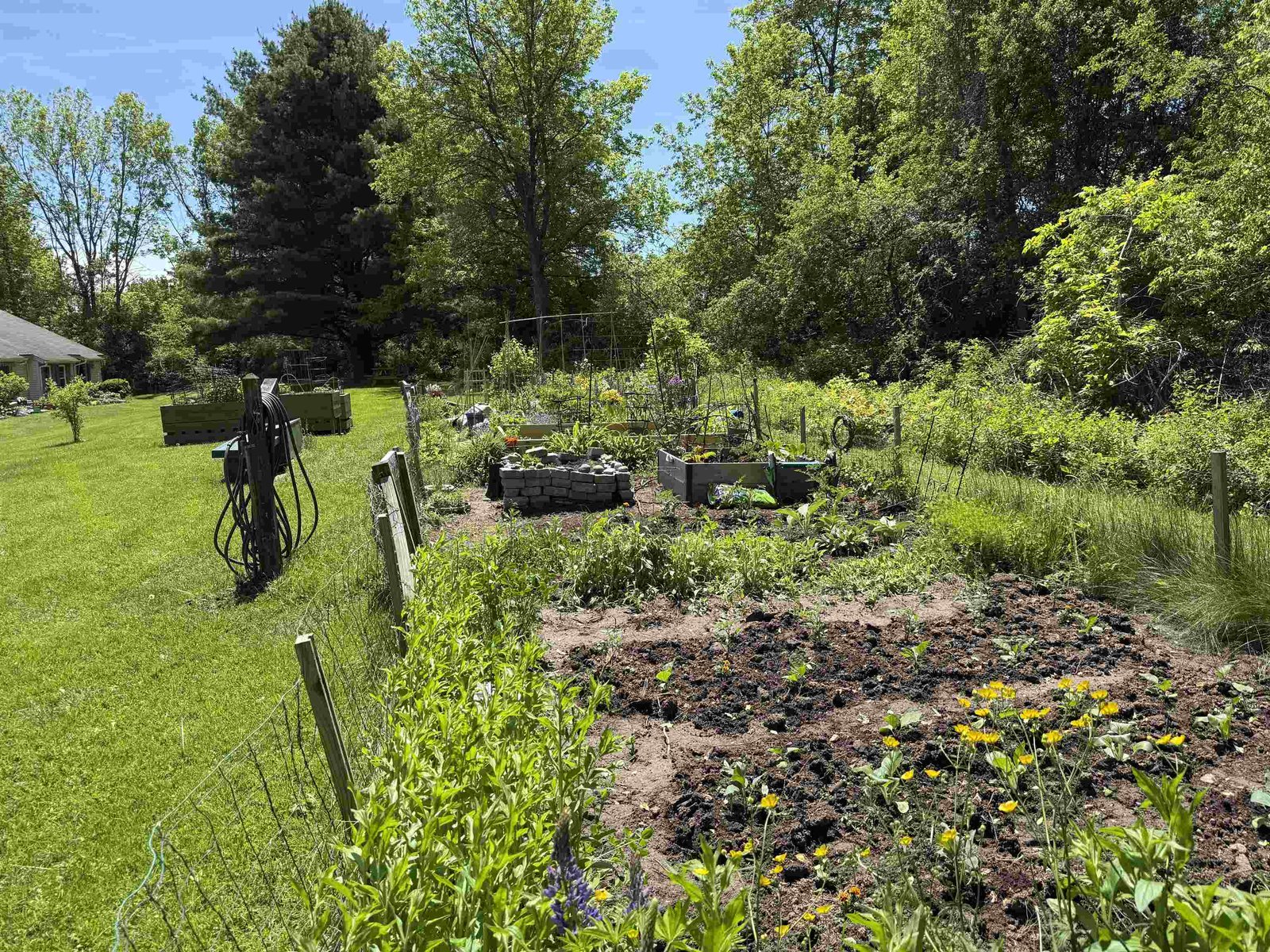 Community  Garden