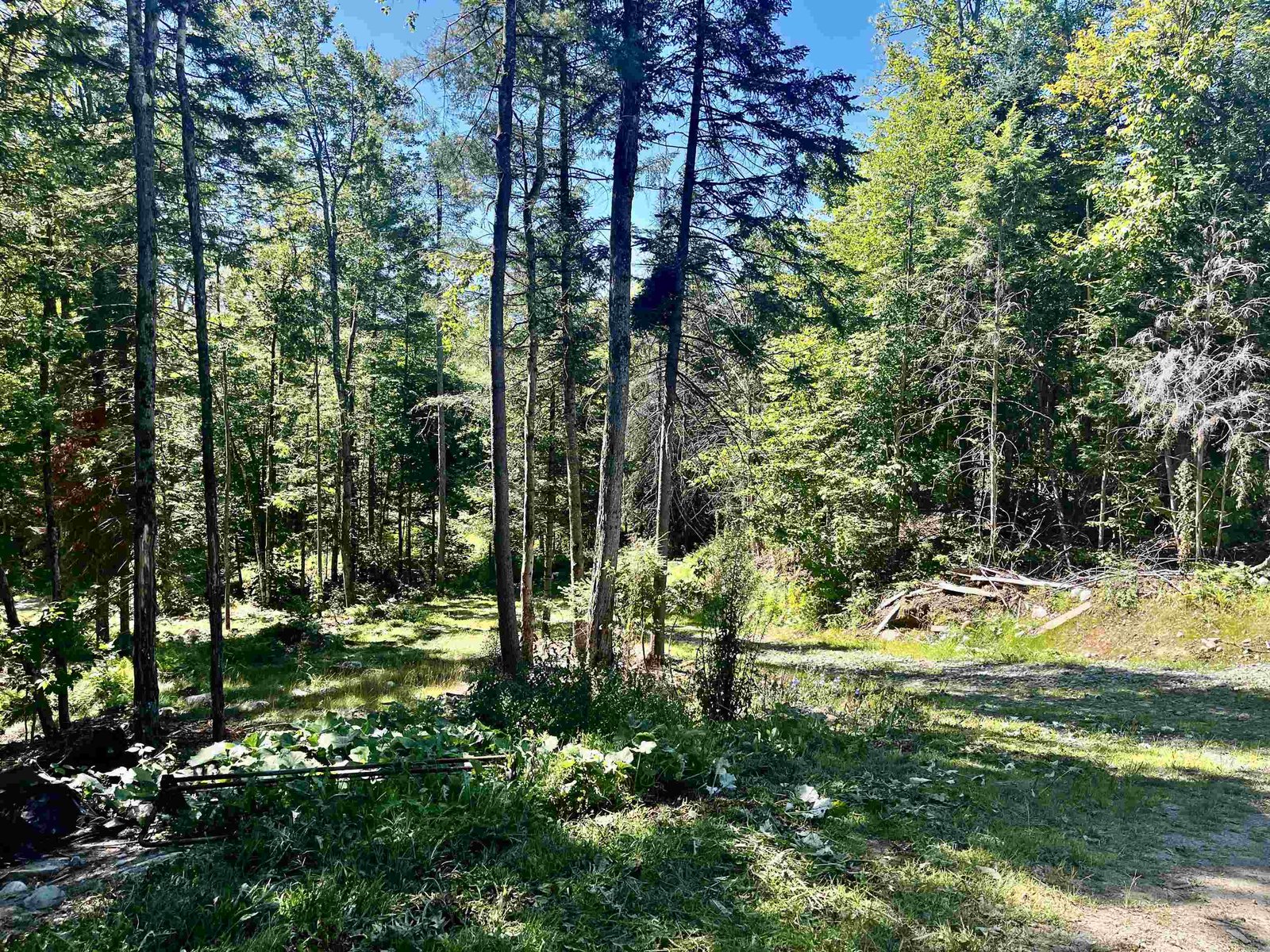 826 Bousquet Road