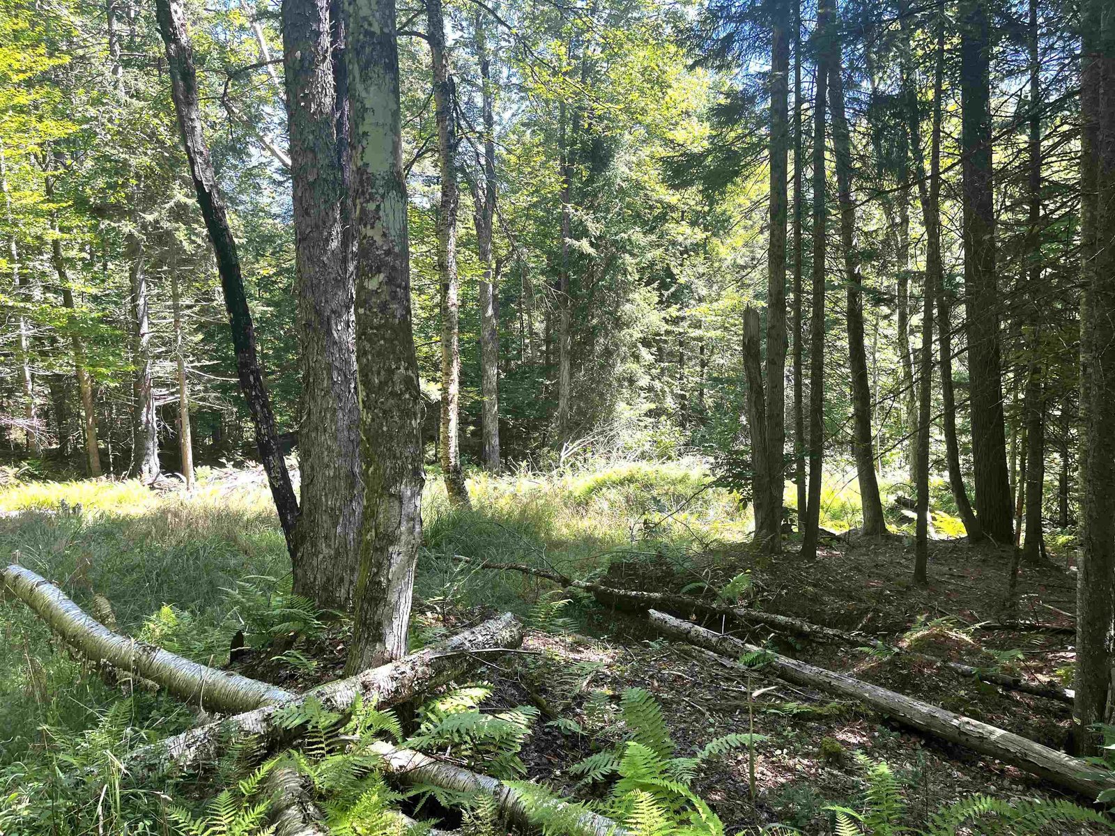 826 Bousquet Road