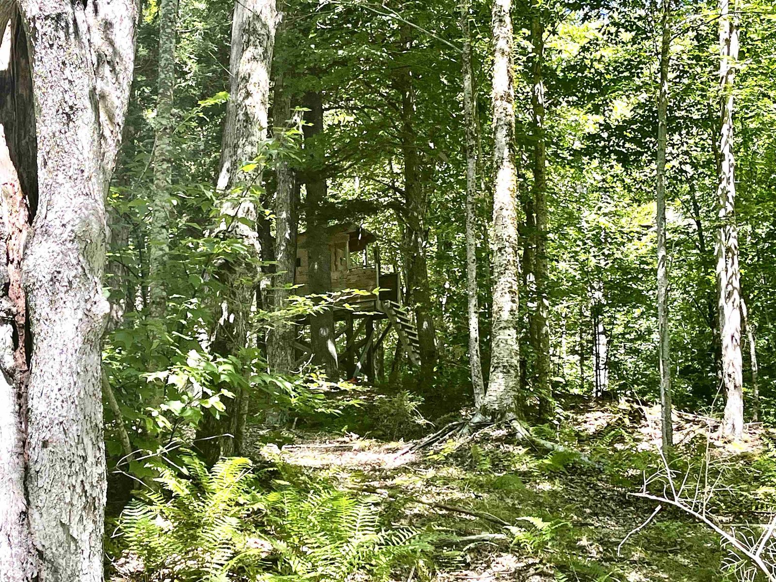 826 Bousquet Road