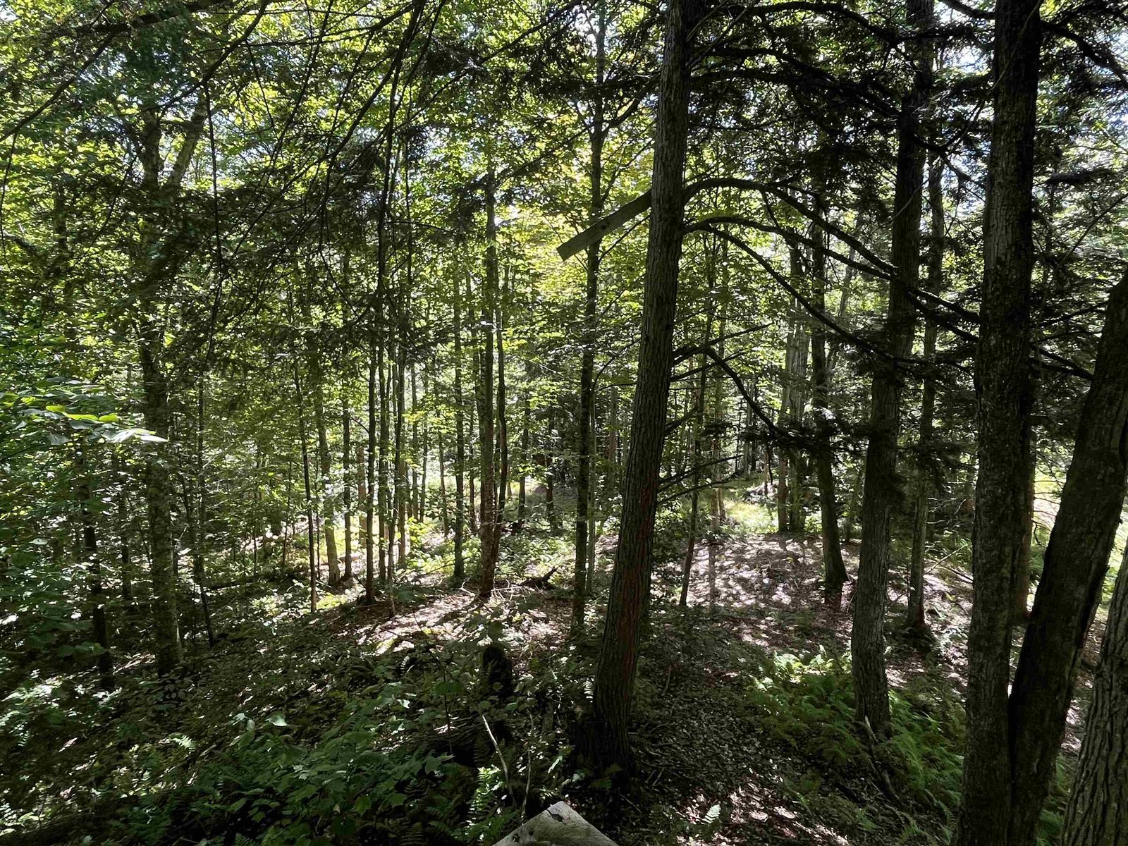 826 Bousquet Road