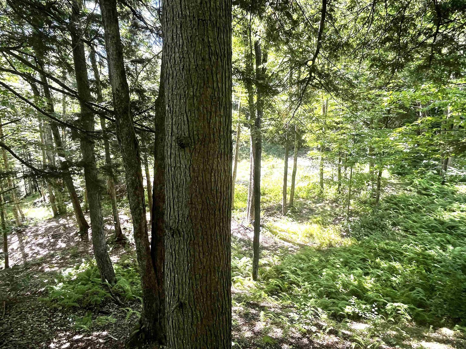 826 Bousquet Road