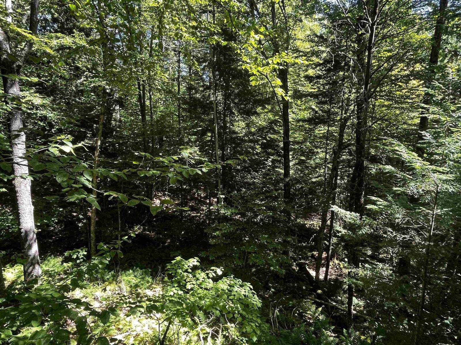 826 Bousquet Road