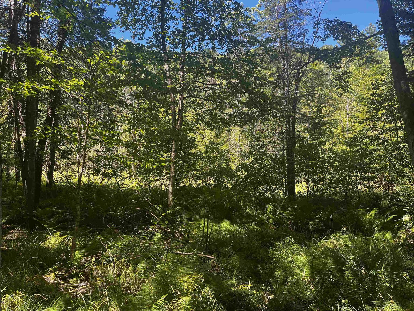 826 Bousquet Road