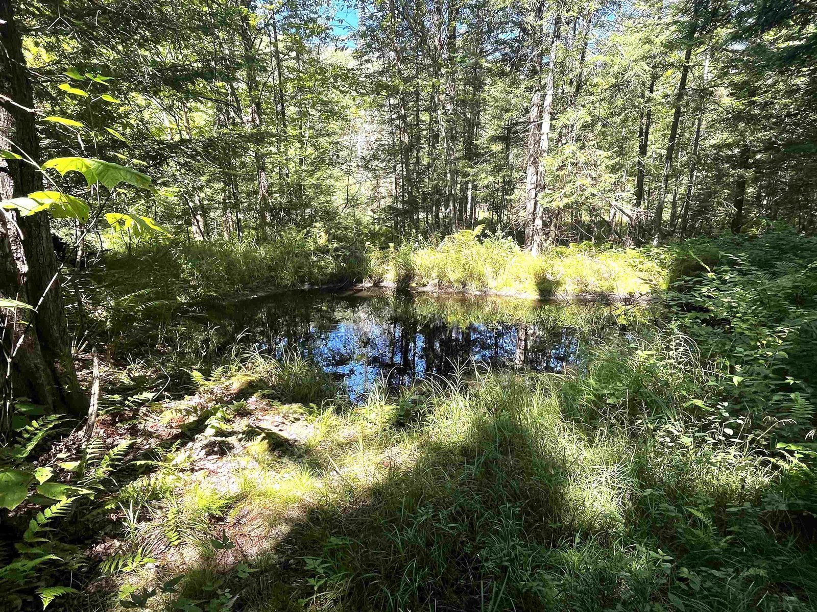 826 Bousquet Road