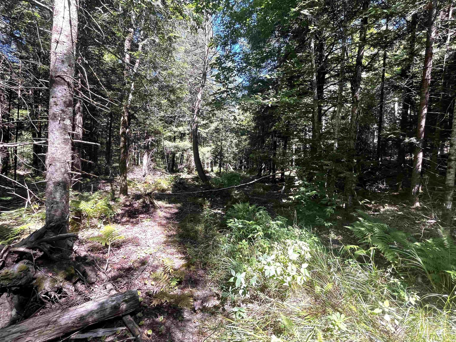 826 Bousquet Road