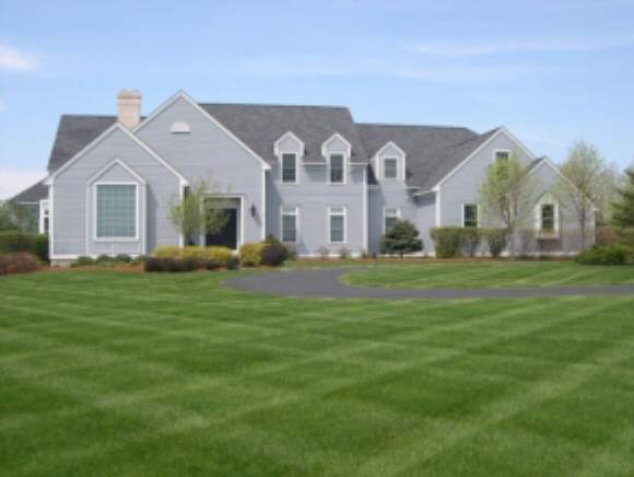 828 Ridgefield Rd