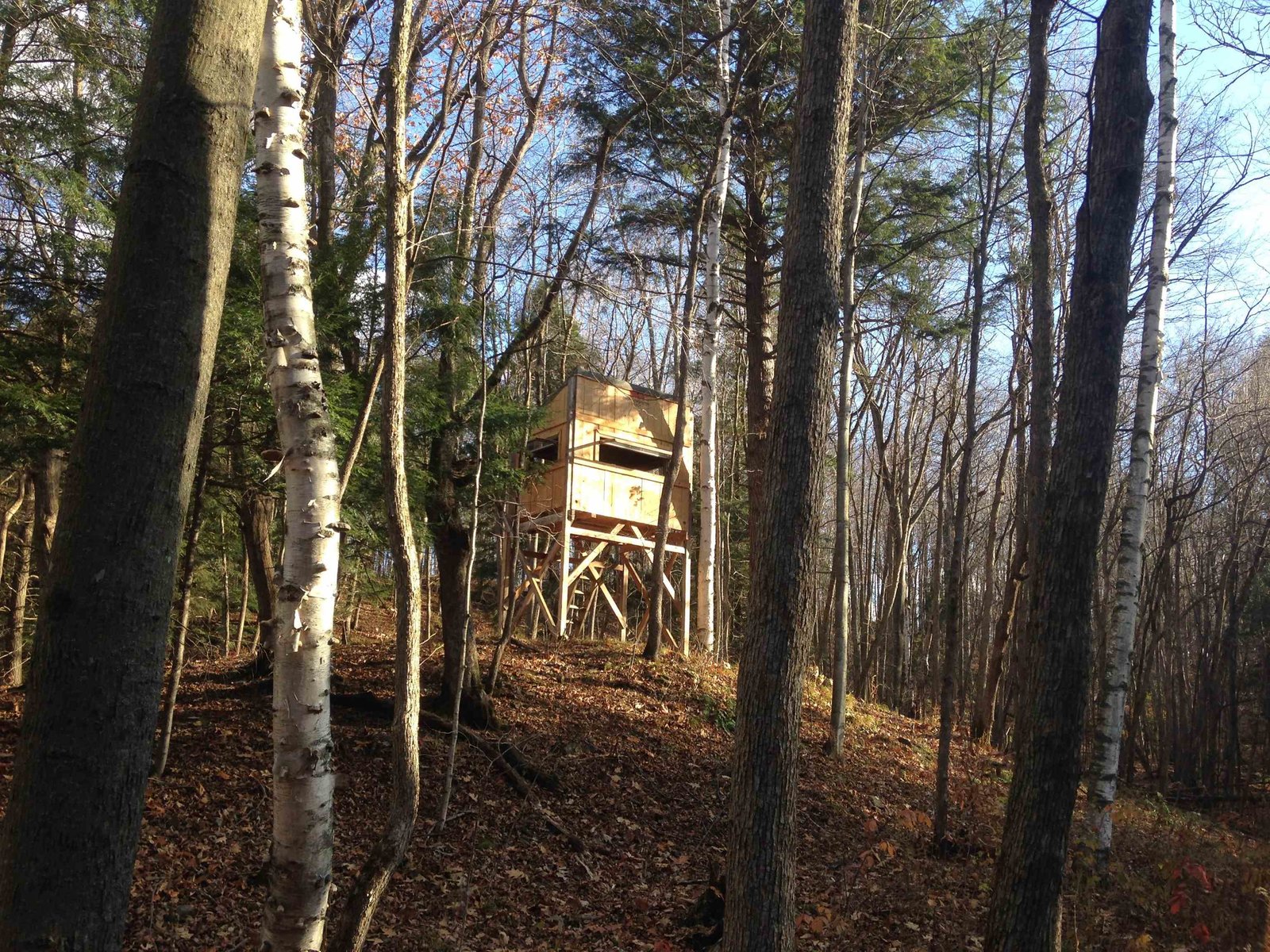 Custom Hunting Condo