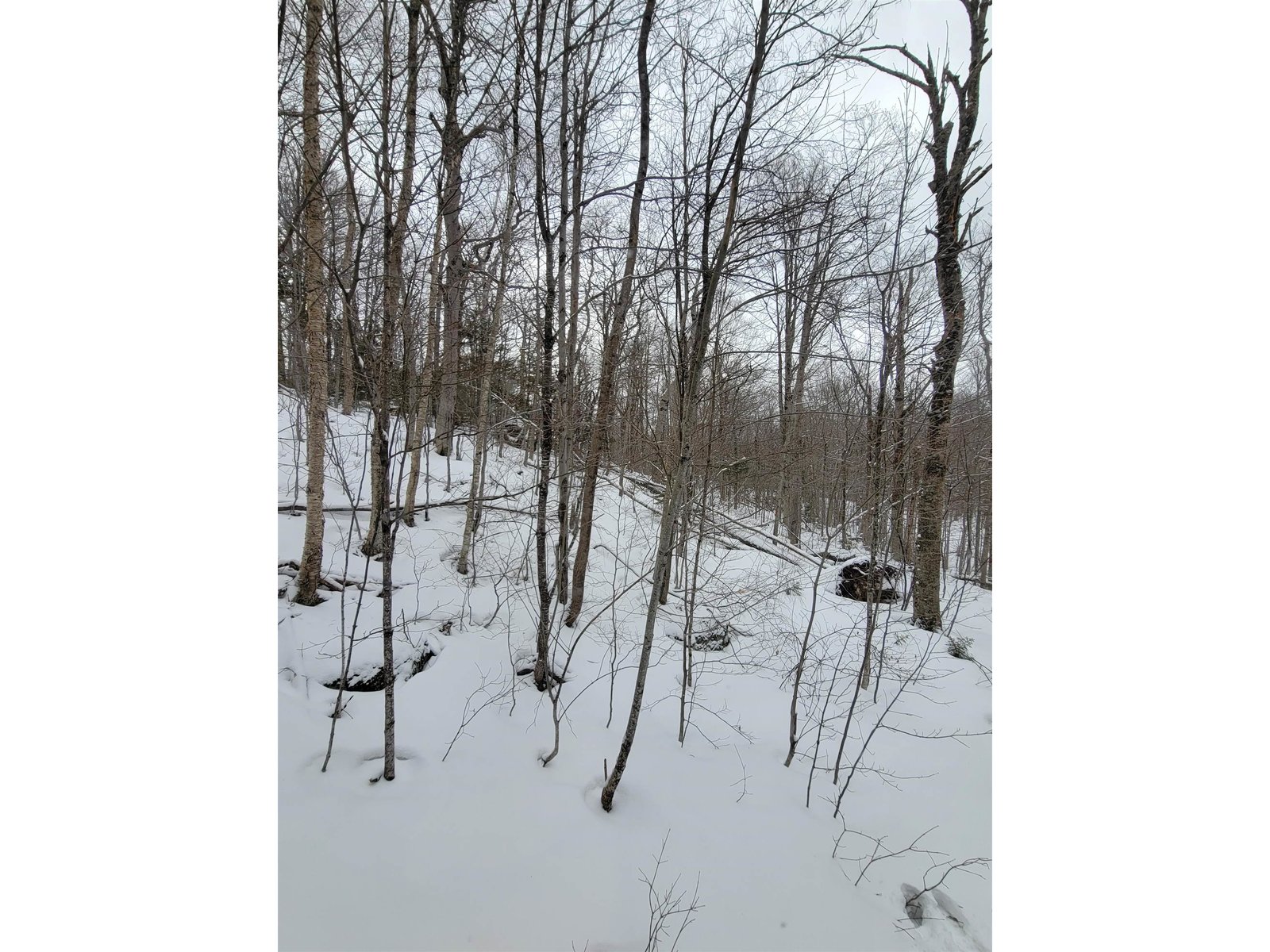 845 Bailey Hill Road