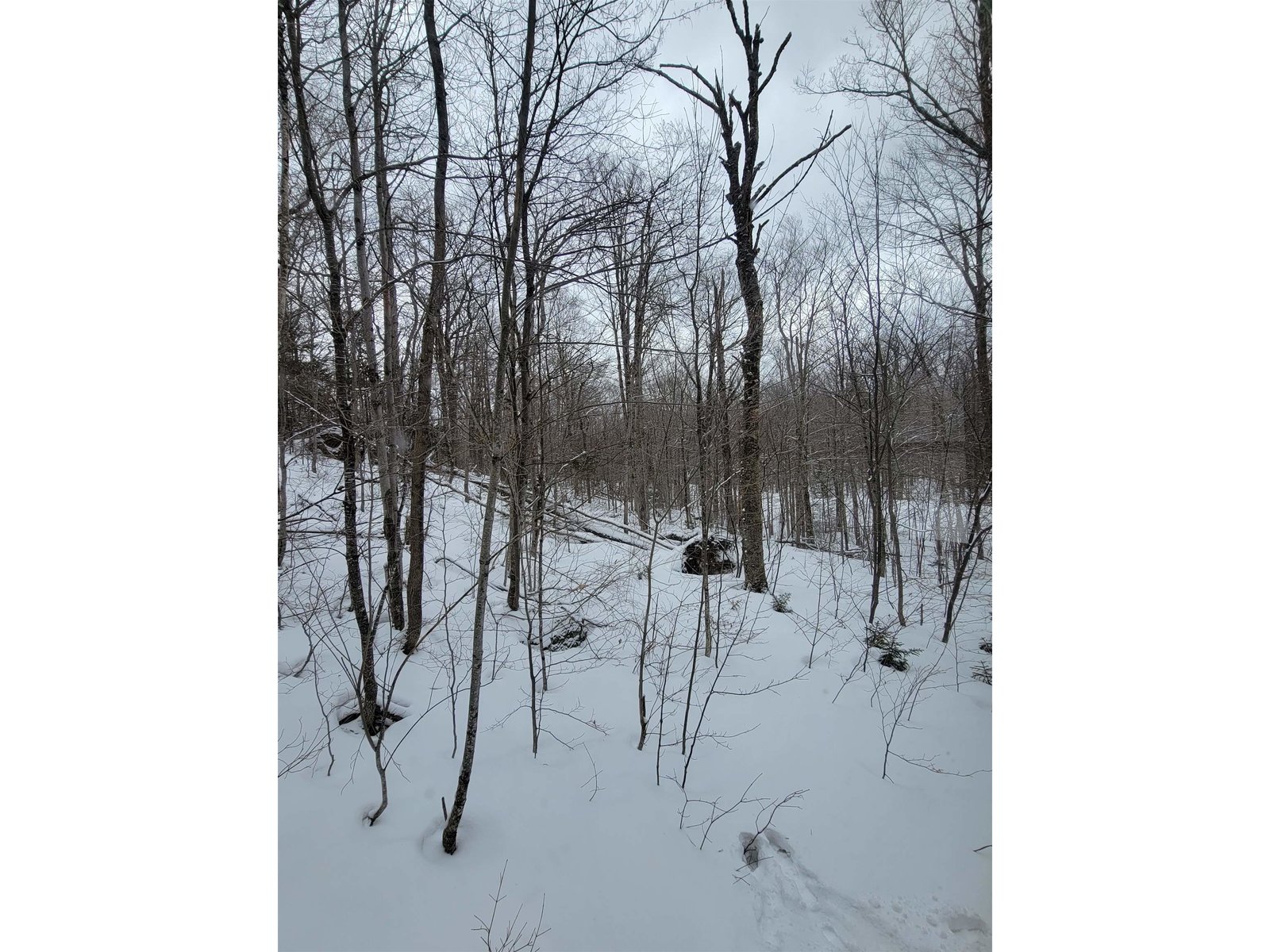 845 Bailey Hill Road